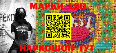 хмурый Сланцы