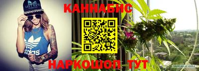 хмурый Сланцы