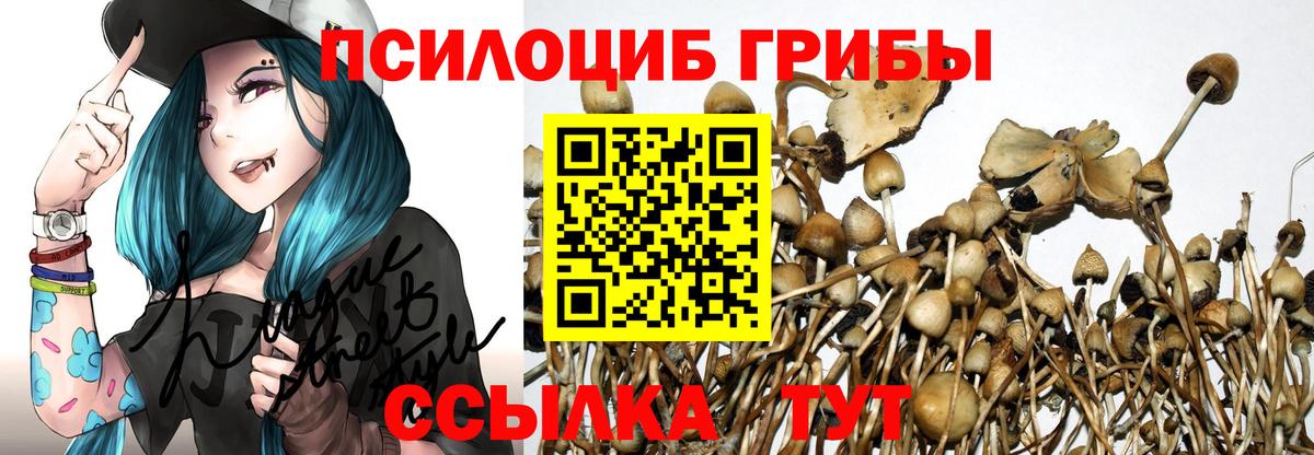 Галлюциногенные грибы Cubensis  Псилоцибиновые грибы Cubensis  Саратов  Вход с VPN 